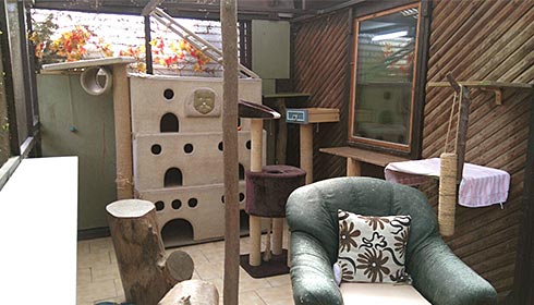 Überdachte Terrasse mit mehrstöckigem Katzenhaus aus Holz, Kratzbaum, grünem Sessel mit gemustertem Kissen und Holzmöbeln.