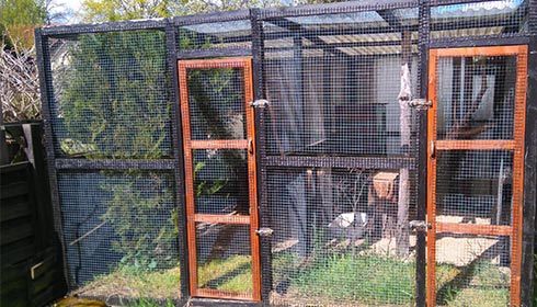 Frontansicht von zwei Außengehegen des Katzenhotel Katzenparadies Schönholz